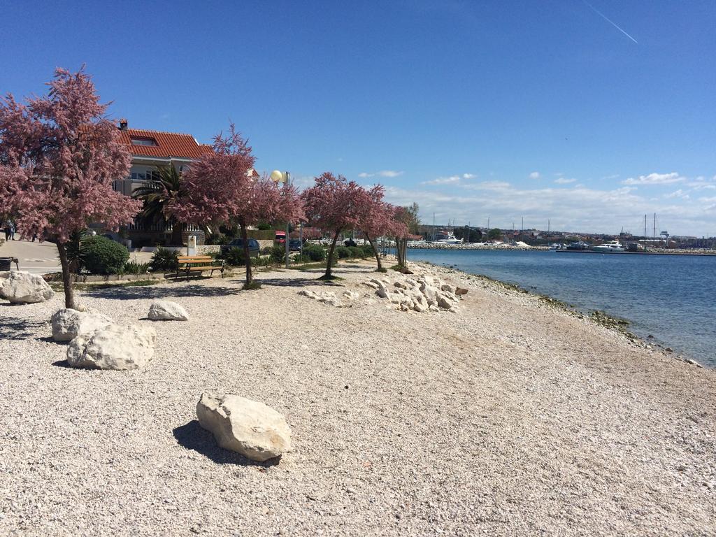 Apartment Valery Zadar Eksteriør bilde